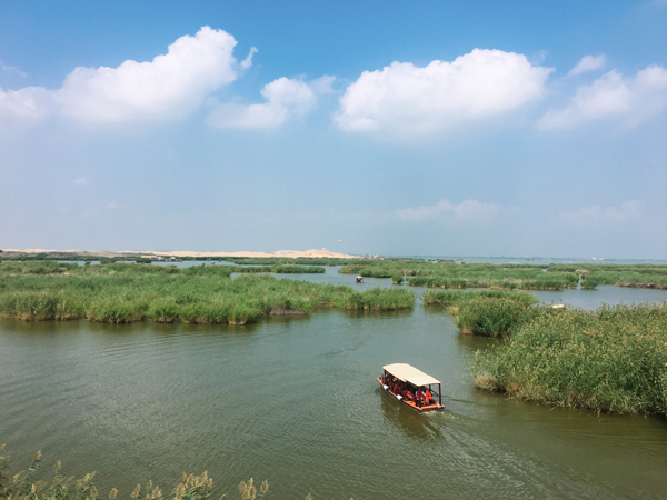 从渔湖到宁夏旅游“名片”：沙湖以保护为重，