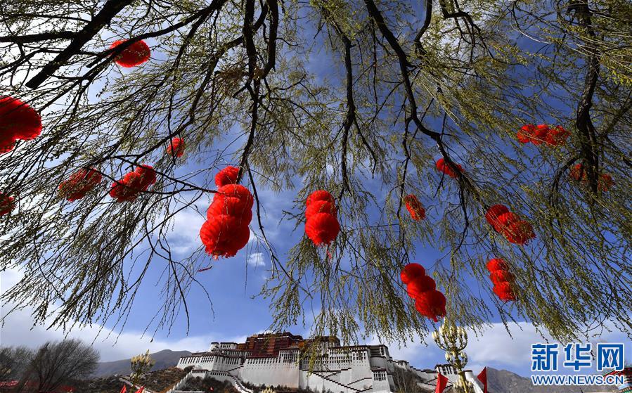 庆祝西藏民主改革60周年大会侧记