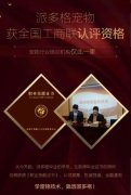 成都派多格开班倒计时:精锐教师助力
