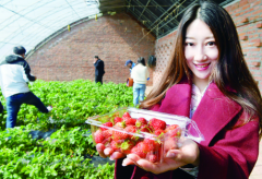 清明节小长假 长春人可去这些地方游玩