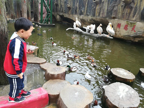 拥抱自然 亲子家庭游玩东湖飞鸟世界