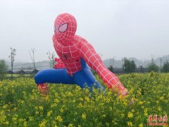 踏青、赏花、美食 解锁含浦春游“打卡