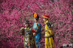 圆明园踏青节开幕 清明时节出游正当时