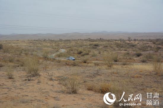三月末，八步沙林场内已有丝丝绿意，一辆汽车从沙漠公路中穿行而过。（王文嘉 摄）