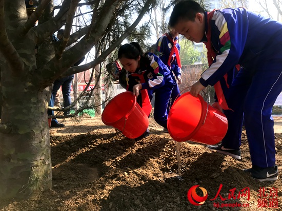 東城15萬人栽綠1000余株安德城市森林公園8月免費開放