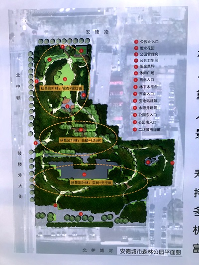 東城15萬人栽綠1000余株安德城市森林公園8月免費開放