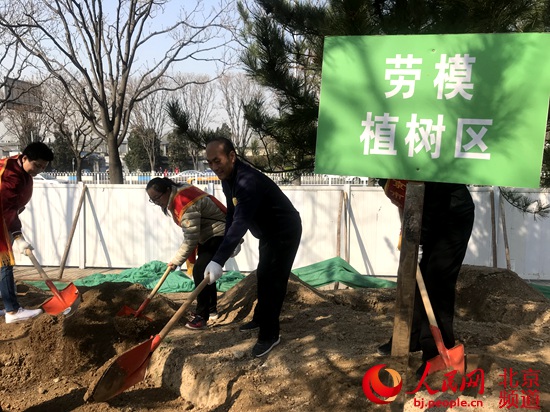 東城15萬人栽綠1000余株安德城市森林公園8月免費開放