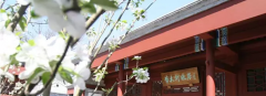 周末去哪儿|清明小长假精品旅游线路