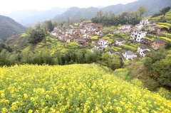 江西婺源举行“中国健康好乡村”揭牌