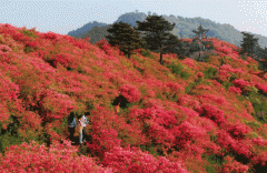《新闻联播》发布湖北文化旅游形象宣