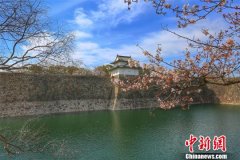 黑龙江清明假日旅游市场日本赏樱线路