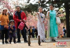 清明假期接待游客1.12亿人次 旅游收入