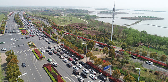 4月6日，在巢湖北岸的合肥巢湖湖滨国家湿地公园，自驾游车队排成长队 张大岗/摄