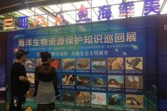 <b>2018年三亚海鲜美食推广季第三站助燃端</b>