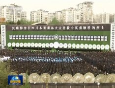 四川举行木里森林火灾扑救中英勇牺牲