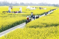 央媒热播市民热游 美丽宜居的成都密码