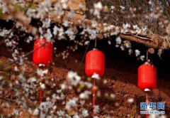 大山里的“爱和小镇”:当乡村遇上艺