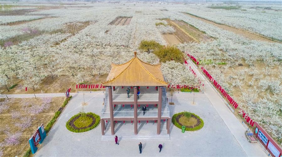 河北深州：打造美丽乡村 发展生态旅游