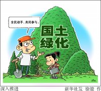 新华时评:深入推进大规模国土绿化行