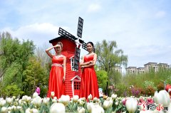天水市麦积区第三届郁金香花卉展10日盛