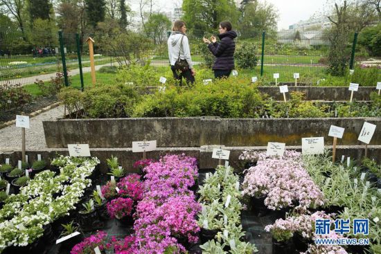 （国际）（1）花团锦簇的萨格勒布