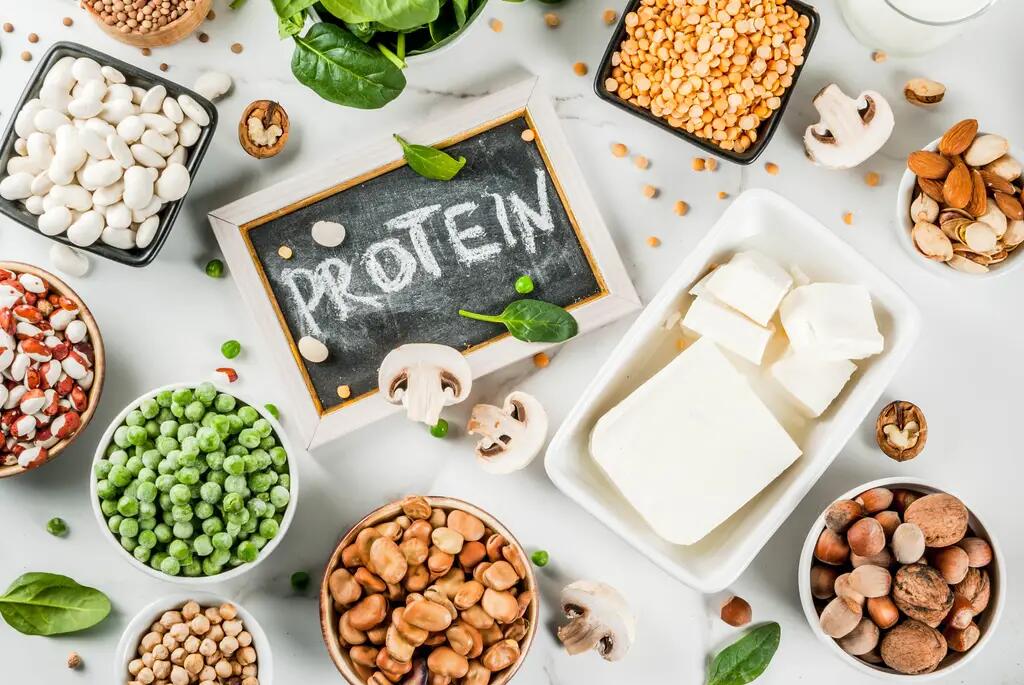 高蛋白饮食有风险 澳大利亚最新研究称可能缩短