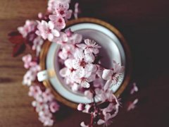 <b>爱情测试:改变什么你能旺桃花(图)</b>