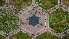 山东菏泽:花开富贵迎客来