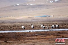专家“论道”中国高原文化旅游产业: