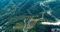 <b>庐江第十一届茶文化旅游节茶本月20日开</b>