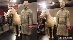 美青年偷走兵马俑手指审判被判无效