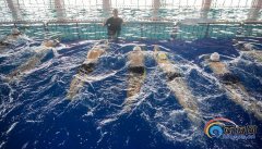 北师大海口附属学校游泳馆正式投用 将