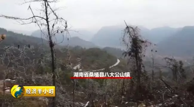 河南渑池扶贫房墙砖一掰就碎 地方政府让村民自己修