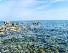 武磊携家人同游西班牙海滩 享受难得家