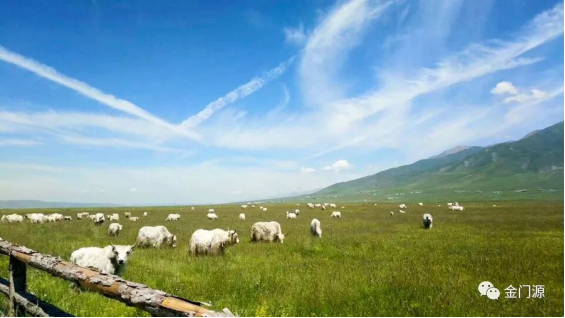 全省休闲牧业与旅游业发展现场观摩会在门源召