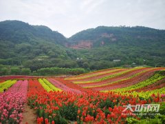 好吃好看又好玩 第四届中国美酒音乐