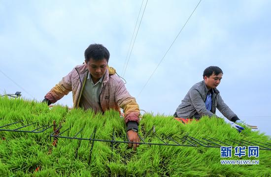 图话闽南“新农人”：春耕也“时尚”