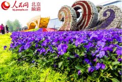 “一带一路”峰会景观布置完成景观照