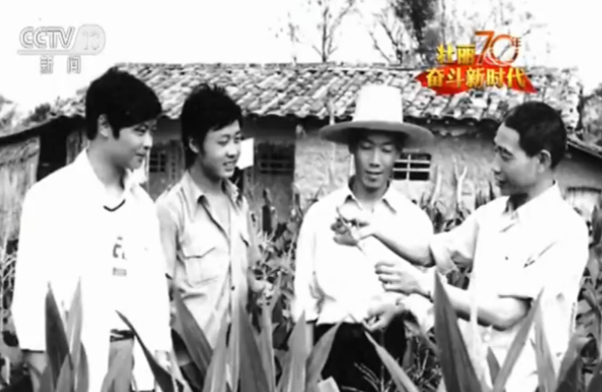 【壮丽70年 奋斗新时代】南繁基地：建设中国种