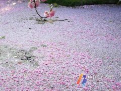 从明开始雨水再度卷土重来 宁波将开启