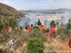 民法典人格权篇分组审议:健康权引热