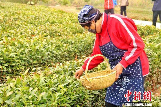 非洲小伙的中国职业教育“奇遇”记