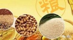 中国食物的历史变迁