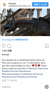 奇迹!巴黎圣母院18万只蜜蜂逃过火劫