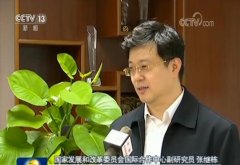 丝路新画卷丨绿色 “一带一路” 推动可