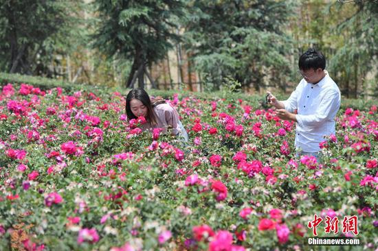 云南大学食堂推出玫瑰花美食受热捧(图)