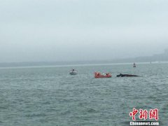 广东湛江2018年海上救助518人 渔民成不可