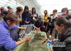 八角湾蓝色种业硅谷 “种”出海洋产业
