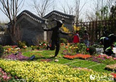 北京世園會:打造綠色中國新名片建設