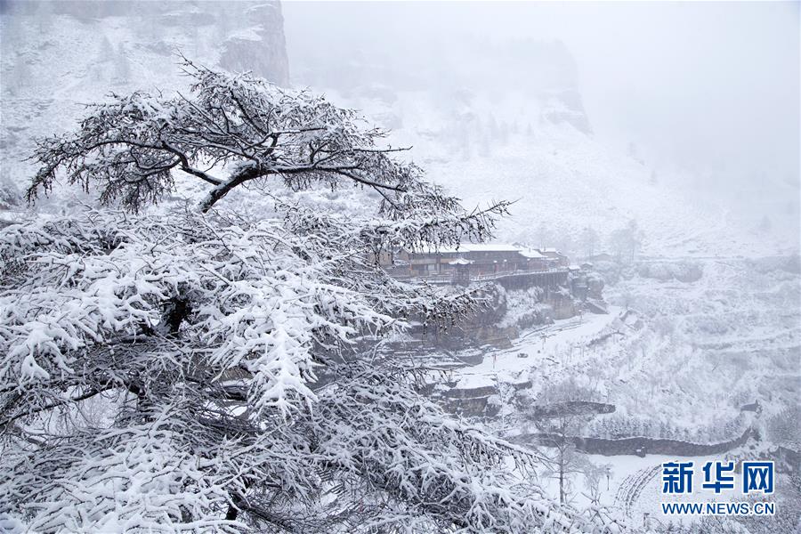 【现场】内蒙古旅游学会成立